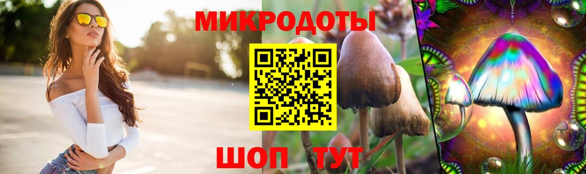 Псилоцибиновые грибы мицелий Арсеньев